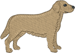 Yellow Lab