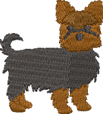 Yorkie