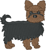 Yorkie